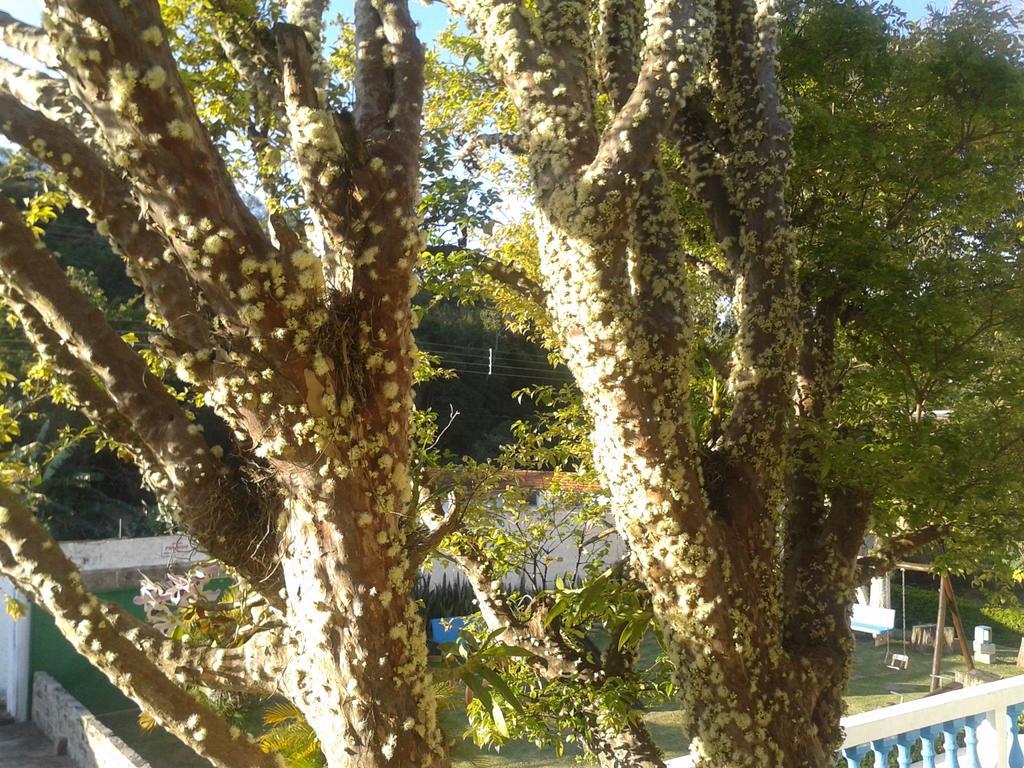 Renascenca 2*